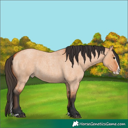 Horse Color:Bay Roan Dun Splash 