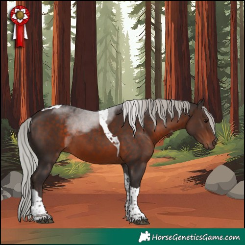 Horse Color:Silver Brown Tobiano 