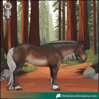 Horse Color:Silver Brown Tobiano 