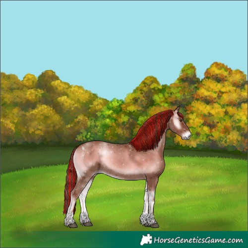 Horse Color:Powder White Painted Red Onyx 