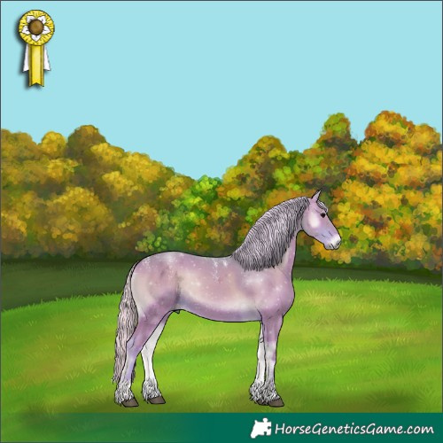 Horse Color:Powder White Watercolor Silver Blue Onyx 