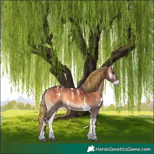 Horse Color:Powder White Painted White Spotted Silver Brown Onyx 