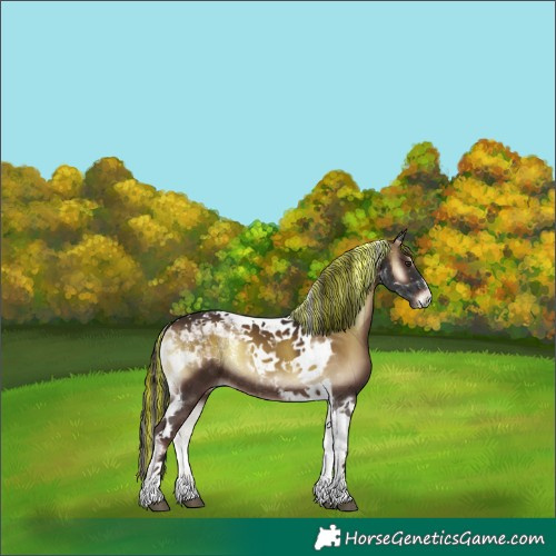 Horse Color:Powder White Painted Liver Red Onyx Tobiano Rabicano 