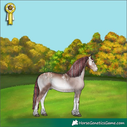 Horse Color:Powder White Gray Painted Liver Red Onyx Pearl Sabino 