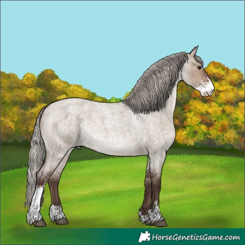 Horse Color:Silver Brown Roan Dun Sabino Rabicano 