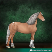 Horse Color:Silver Classic Champagne Sabino Tobiano