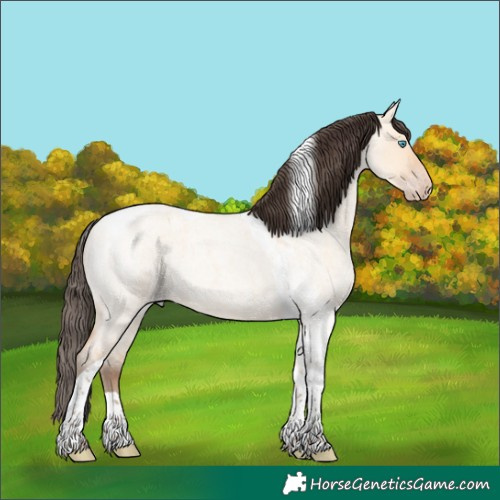 Horse Color:Amber Champagne Roan Dun Tobiano 