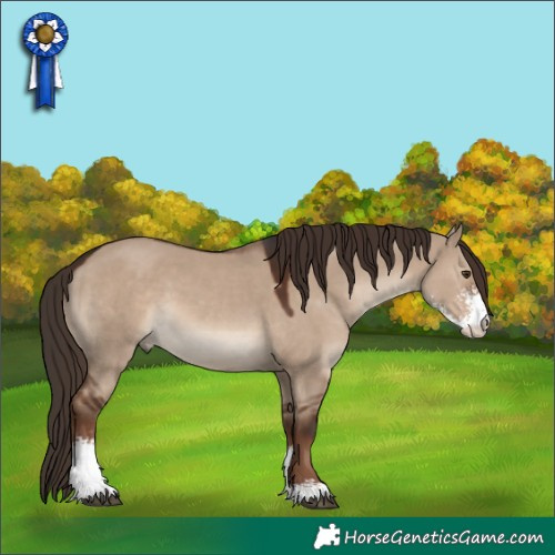 Horse Color:Liver Red Dun Sabino 