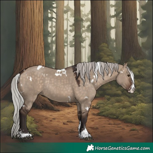 Horse Color:White Spotted Silver Brown Dun Sabino Rabicano 