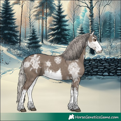 Horse Color:White Spotted Silver Grullo Ice 