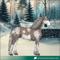 Horse Color:White Spotted Silver Grullo Ice