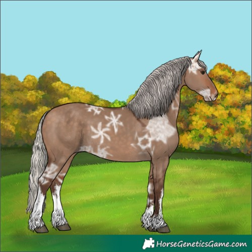 Horse Color:White Spotted Silver Bay Ice Dun 