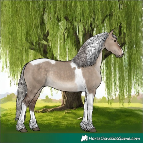 Horse Color:Silver Brown Dun Tobiano Rabicano 