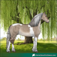 Horse Color:Silver Brown Dun Tobiano Rabicano