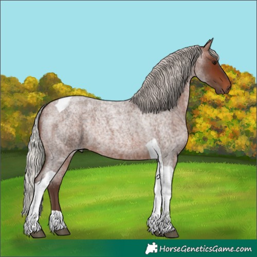 Horse Color:Silver Bay Roan Tobiano Rabicano 