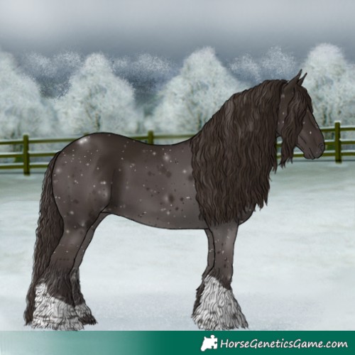 Horse Color:Liver Chestnut Tobiano Rabicano 