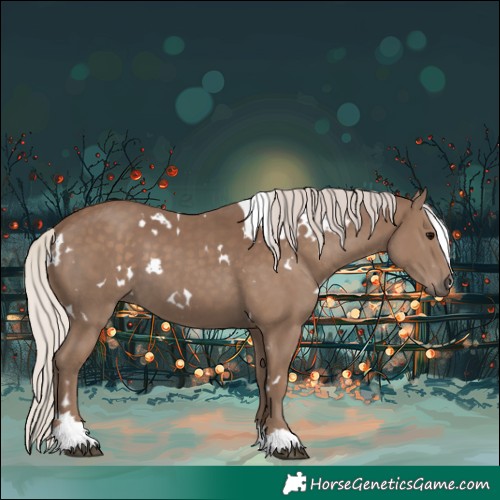 Horse Color:White Spotted Silver Black 