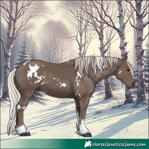 Horse Color:White Spotted Silver Black Tobiano 