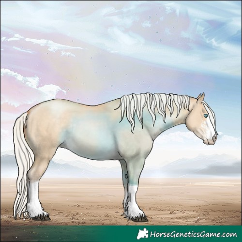 Horse Color:Silver Grullo Snowdrop Pearl Sabino Tobiano Rabicano 