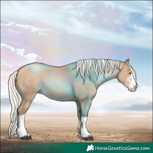 Horse Color:Silver Grullo Pearl Sabino Tobiano Rabicano 