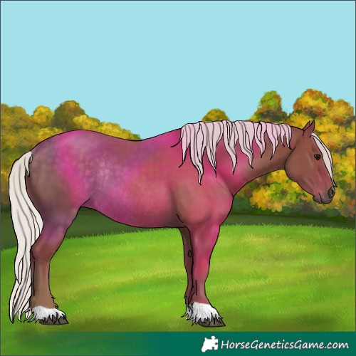 Horse Color:Silver Black Rabicano 