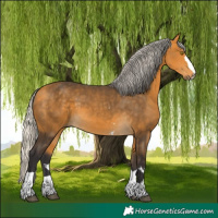 Horse Color:Silver Buckskin 