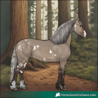 Horse Color:White Spotted Silver Brown Dun Sabino 