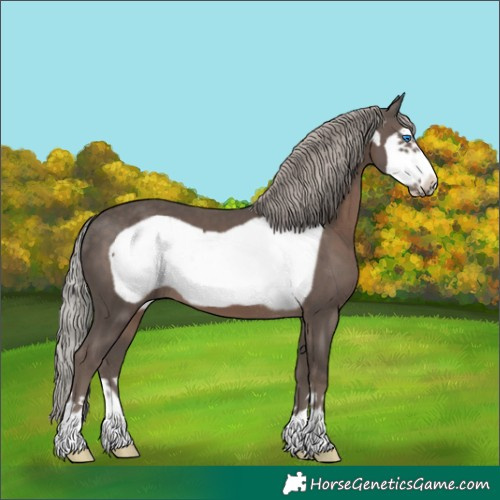 Horse Color:Silver Black Frame 