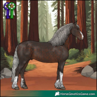 Horse Color:Silver Brown Sabino Tobiano
