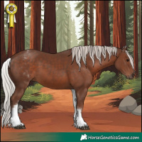 Horse Color:White Spotted Silver Black