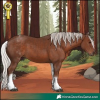 Horse Color:White Spotted Silver Black 