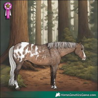 Horse Color:Silver Brown Dun Sabino Splash Appaloosa 