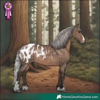 Horse Color:Silver Brown Dun Sabino Splash Appaloosa 