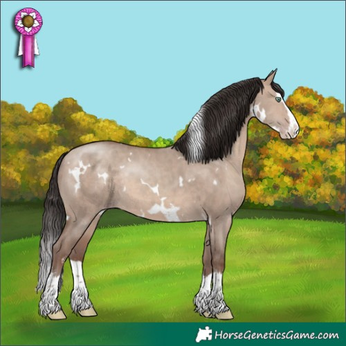 Horse Color:White Spotted Sable Champagne Dun Sabino Splash 