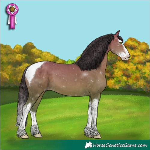 Horse Color:Sable Champagne Sabino Splash Tobiano 
