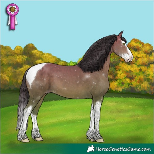 Horse Color:Sable Champagne Sabino Splash Tobiano 