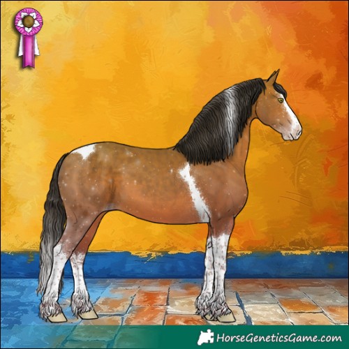 Horse Color:Sable Champagne Sabino Splash Tobiano 