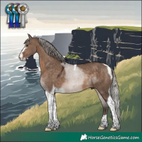 Horse Color:Silver Brown Dun Sabino Tobiano