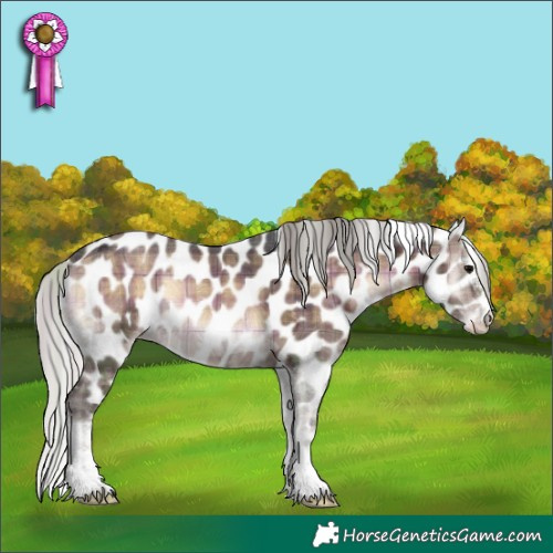 Horse Color:Plaid  Silver Brown Ice Onyx Sabino Tobiano Appaloosa 