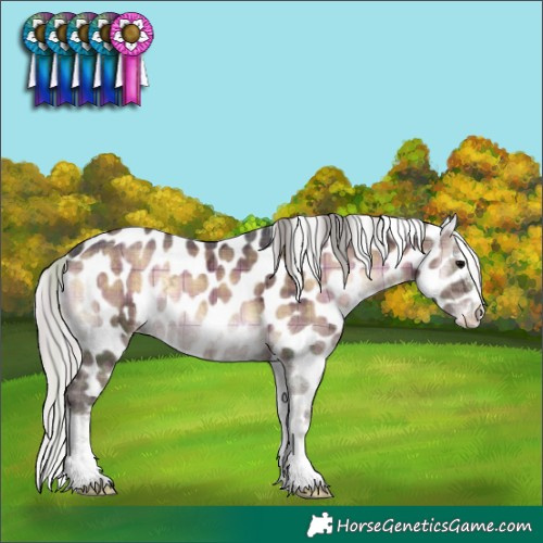 Horse Color:Plaid  Silver Brown Ice Onyx Sabino Tobiano Leopard 