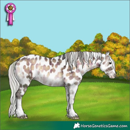 Horse Color:Plaid  Silver Brown Ice Onyx Sabino Tobiano Appaloosa 