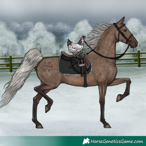 Horse Color:Silver Brown Dun