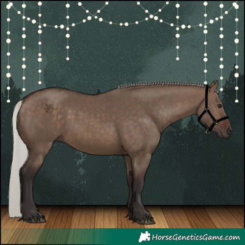 Horse Color:Silver Brown Dun 