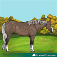 Horse Color:Silver Brown Dun 
