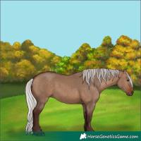 Horse Color:Silver Brown Dun 
