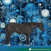 Horse Color:Smoky Black