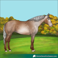 Horse Color:Gray Silver Sable Champagne