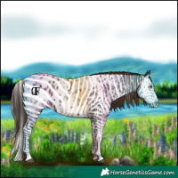 Horse Color:Liver Chestnut Sabino Splash Blanket  and Liver Chestnut Sabino Splash Blanket 