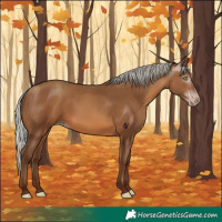 Horse Color:Gray Silver Sable Champagne 