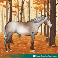 Horse Color:Gray Silver Sable Champagne 